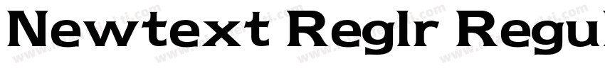 Newtext Reglr Regular字体转换